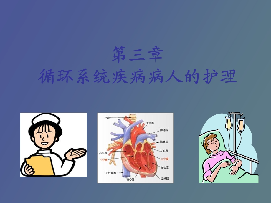 循环系统概述.ppt_第1页