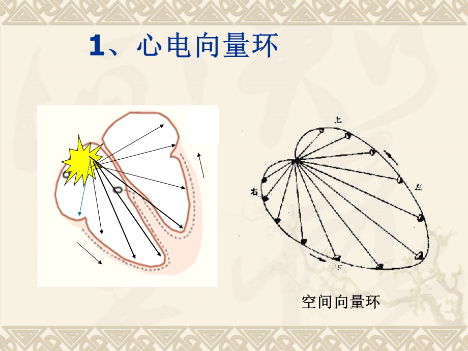 心电图心电向量详细讲解.ppt_第3页