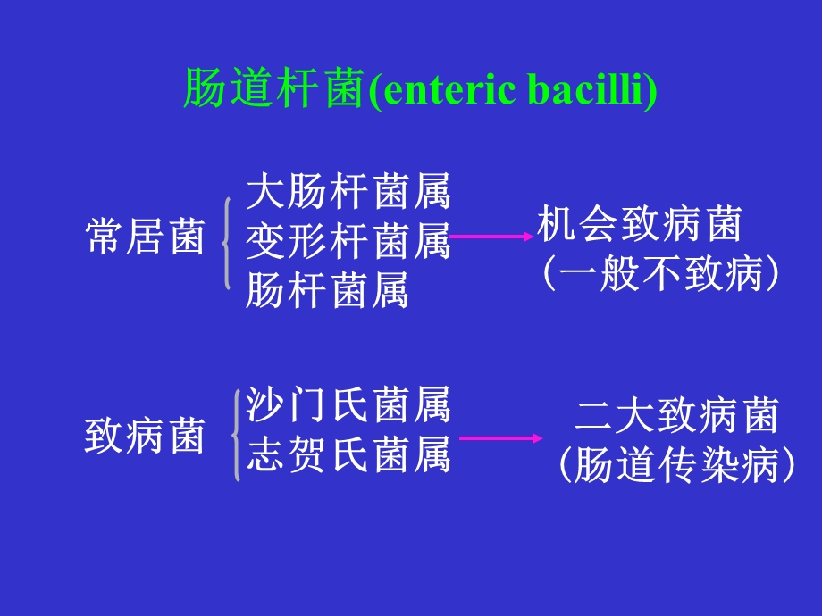 肠道杆菌entericbacilliP.ppt_第3页