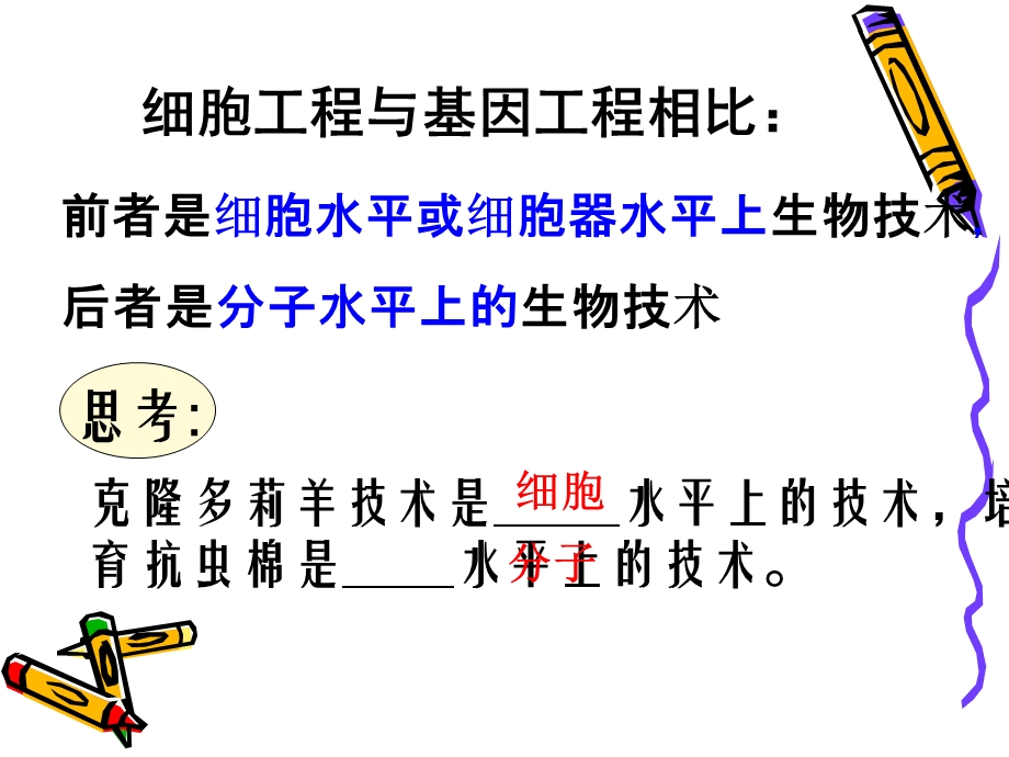 植物细胞工程选修.ppt_第2页