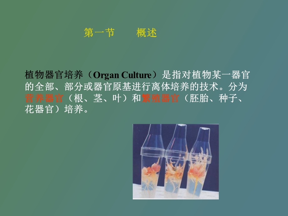 植物器官培养.ppt_第2页