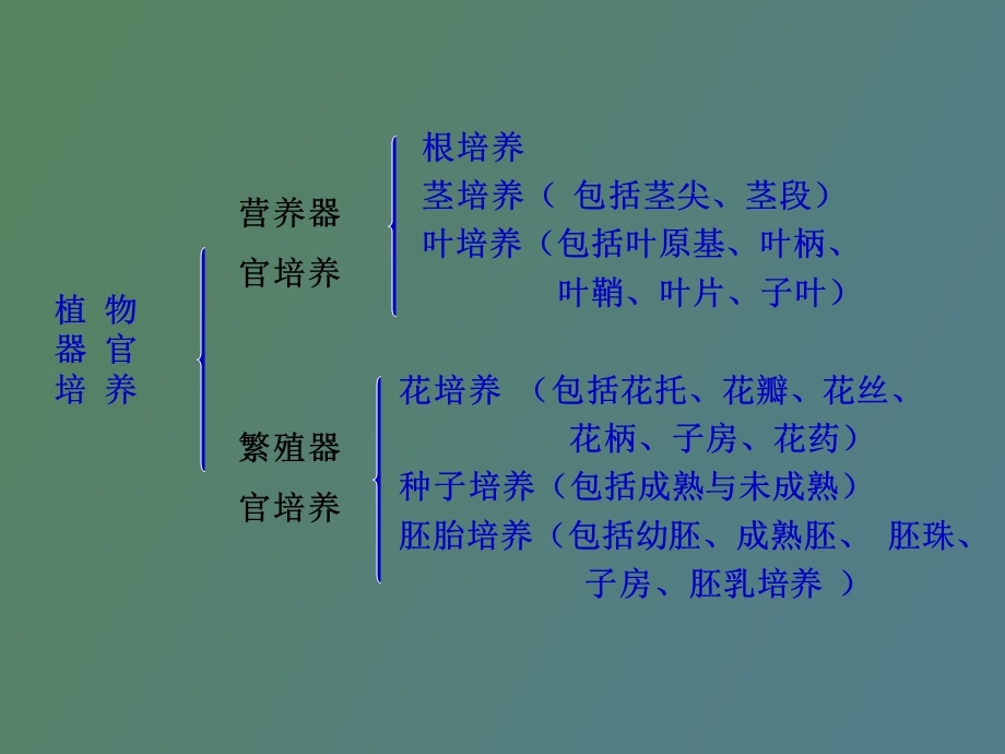 植物器官培养.ppt_第3页