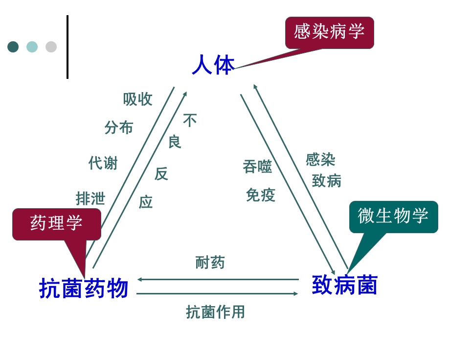 细菌耐药趋势与抗菌药物合理选用.ppt_第3页