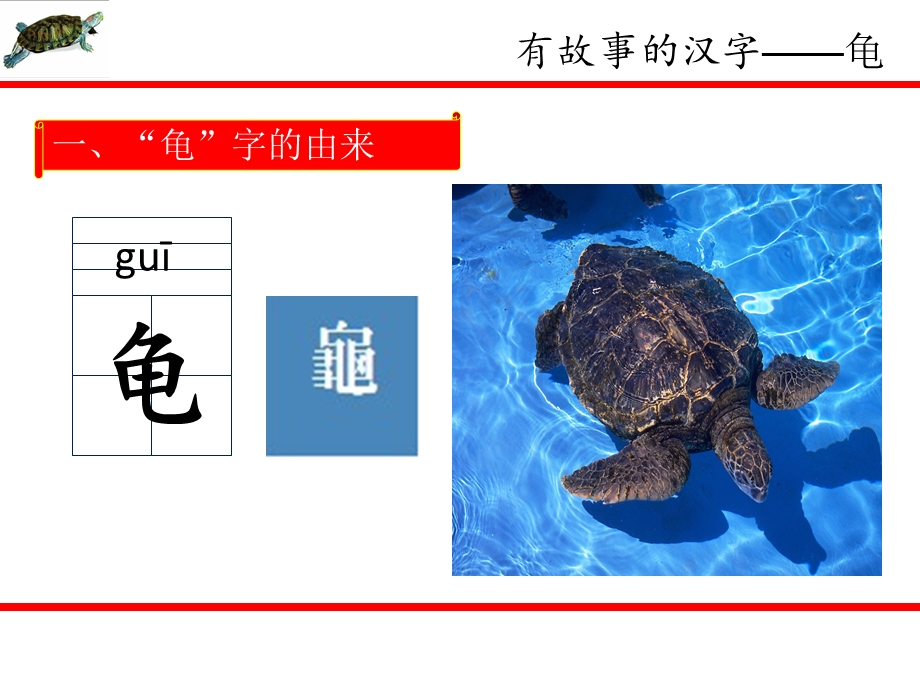 有故事的汉字(龟).ppt_第2页