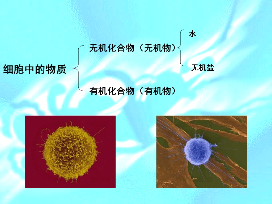 有机化合物及生物大分子.ppt_第2页