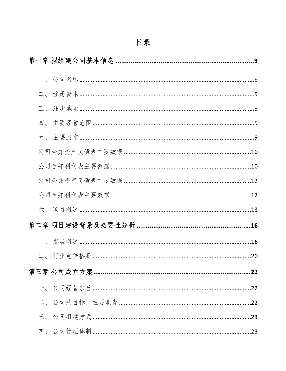 唐山关于成立汽车显示设备公司可行性研究报告.docx_第2页