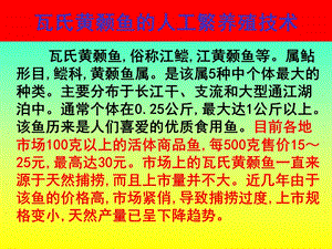 瓦氏黄颡鱼的人工繁养殖技术.ppt