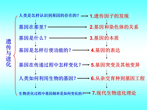 1.1孟德尔的豌豆杂交实验.ppt