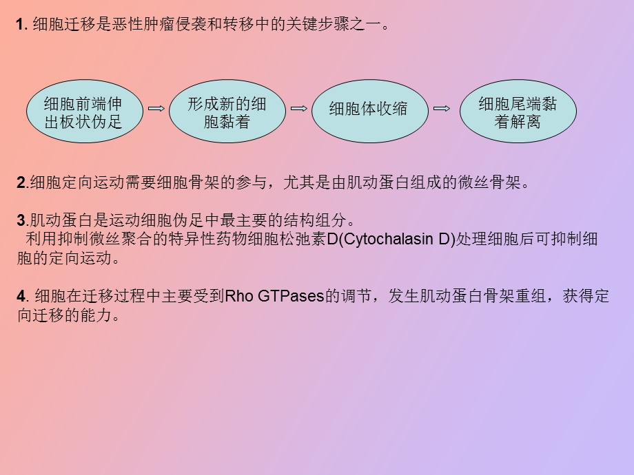 肿瘤细胞迁移中的信号通路.ppt_第2页