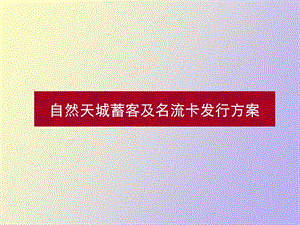 自然天城蓄客方案.ppt