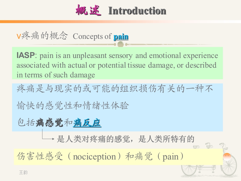 痛觉产生的基础理论知识.ppt_第3页