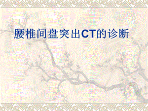 腰椎间盘突出CT的诊断.ppt