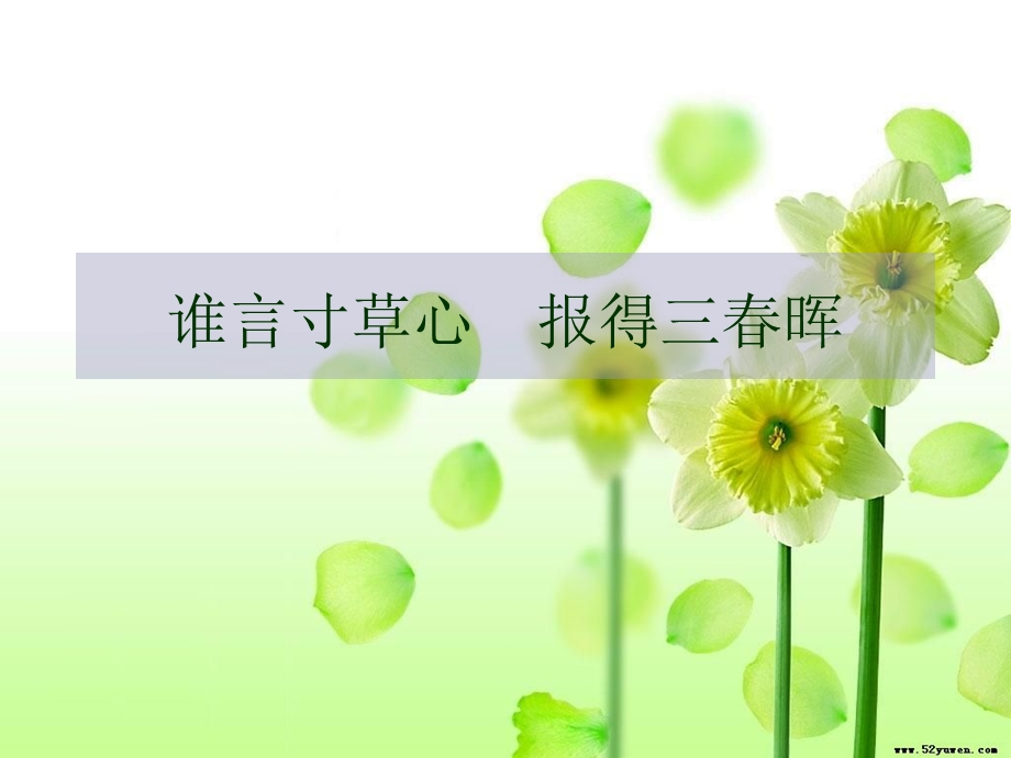 慈母手中线游子身上衣.ppt_第1页