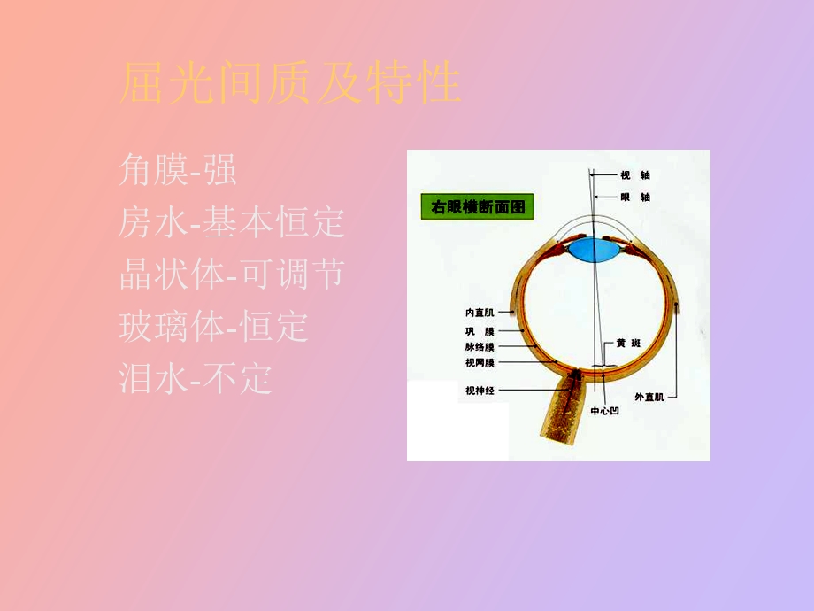 眼科学晶体病医学.ppt_第3页