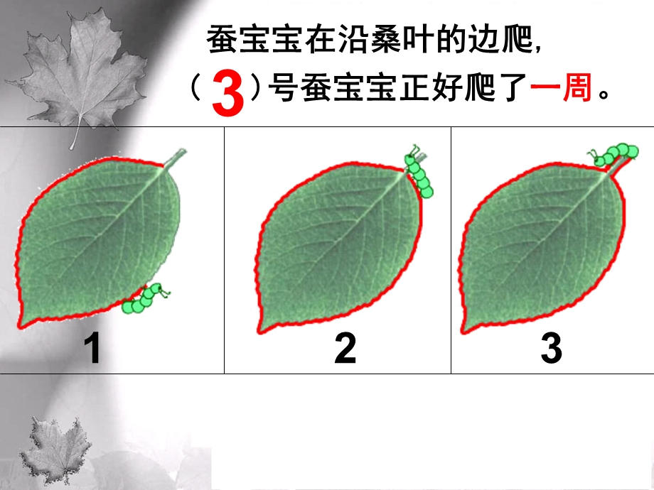 周长的认识.ppt_第2页