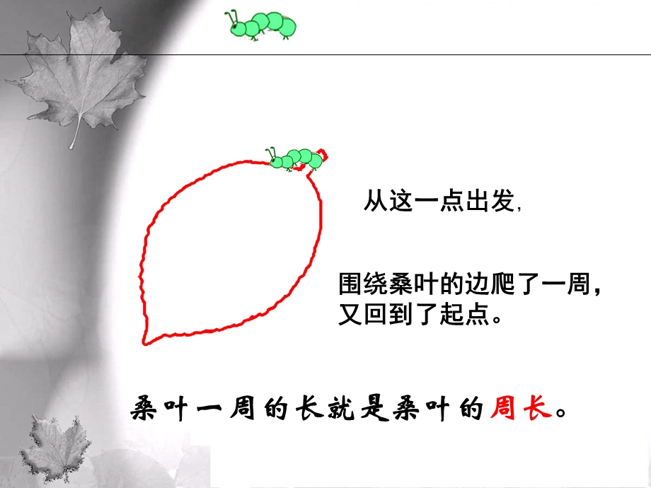 周长的认识.ppt_第3页