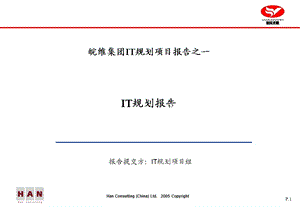 皖维集团IT规划项目报告.ppt