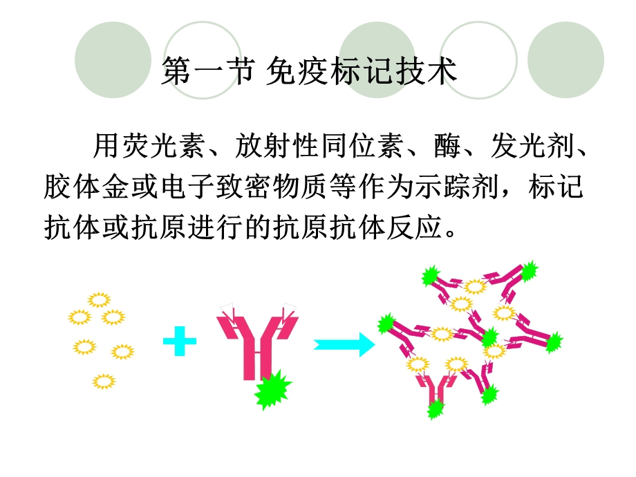 疫标记技术及分析.ppt_第2页