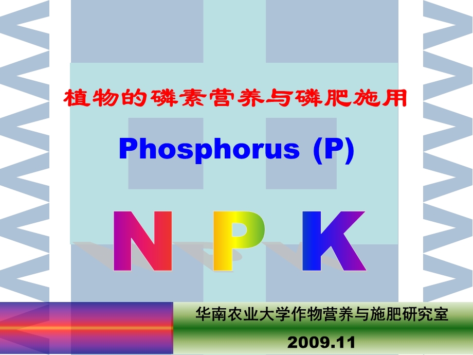 磷素营养与磷肥施用.ppt_第1页