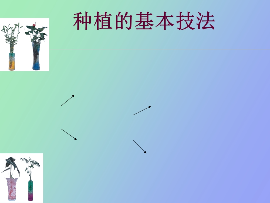 种植的基本技法.ppt_第1页