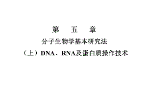 现代分子生物学第五章.ppt