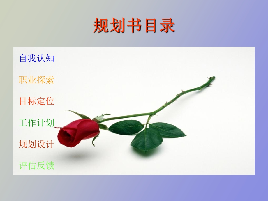 职业人生规划自我认识.ppt_第2页