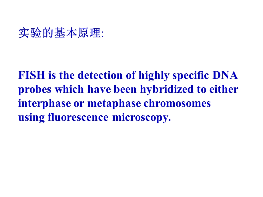 荧光原位杂交实验FluorescenceInSituHybridiza.ppt_第3页