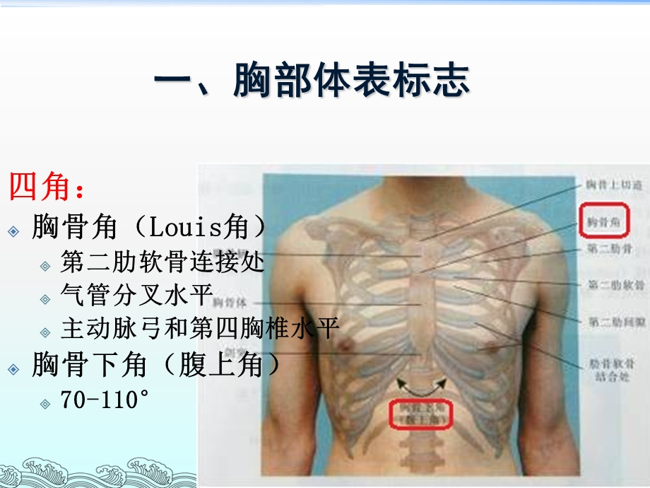 胸部体格检查-整理版.ppt_第2页