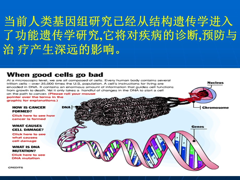 肿瘤基因治疗的新进展.ppt_第3页