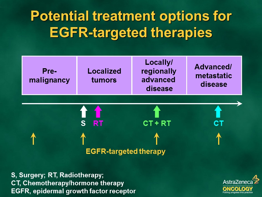 EGFR靶向治疗癌症.ppt_第2页