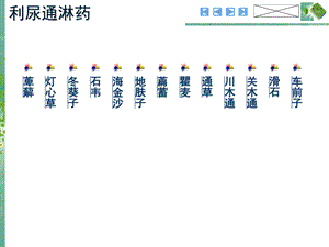 利尿通淋药(中药学图谱).ppt