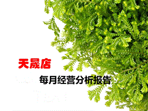 药店每月经营分析报告.ppt