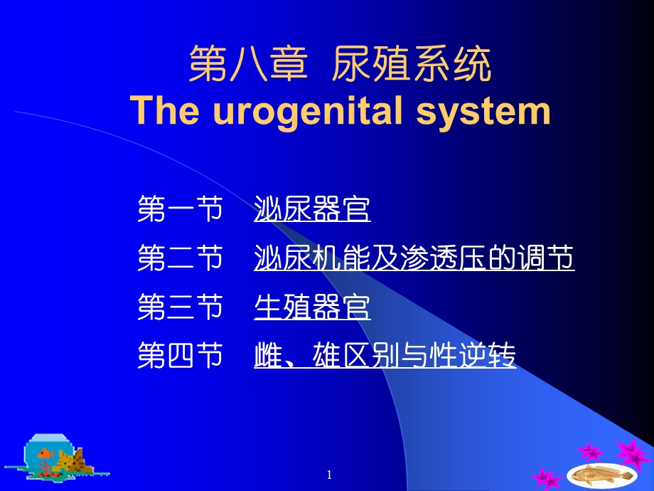 第八章尿殖系统Theurogenitalsystem.ppt_第1页