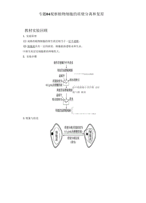 专题04 观察植物细胞的质壁分离和复原.docx