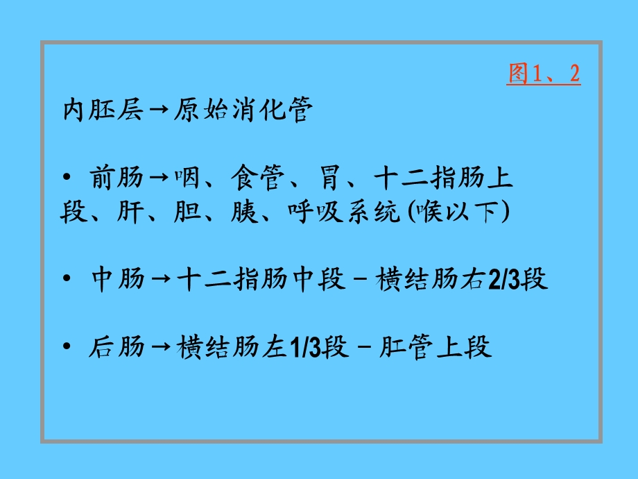 组织胚胎学23消化系统和呼吸系统的发生.ppt_第2页