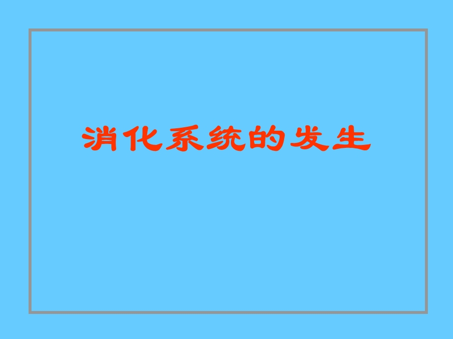 组织胚胎学23消化系统和呼吸系统的发生.ppt_第3页