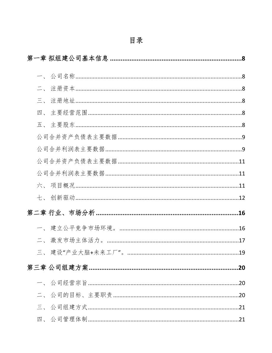 嘉兴关于成立控制器公司可行性研究报告.docx_第2页