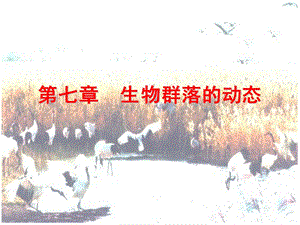 生物群落的动态.ppt