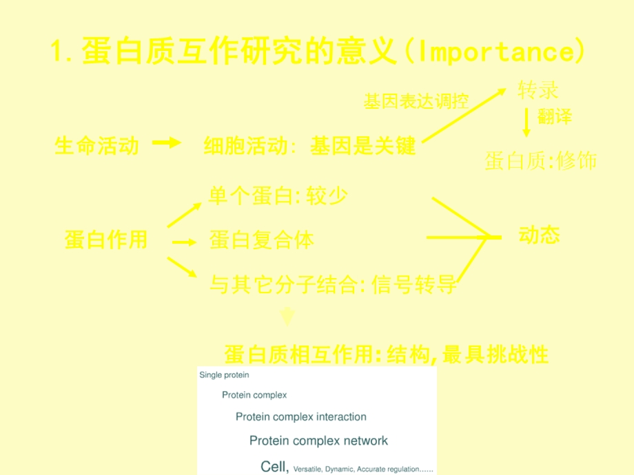 现代分子生物学-蛋白质.ppt_第3页