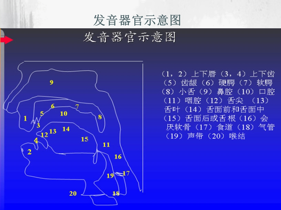 英语自然拼读教程.ppt_第3页