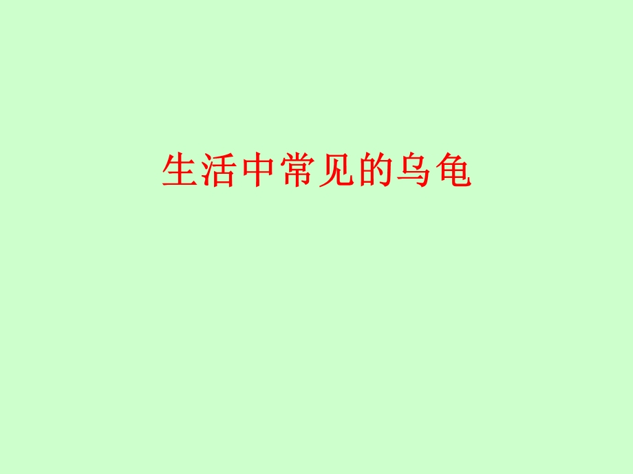 生活中常见的乌龟.ppt_第1页