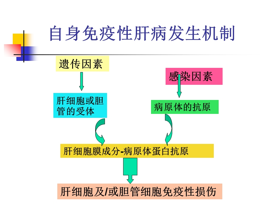 自身免疫性肝病讲座.ppt_第3页