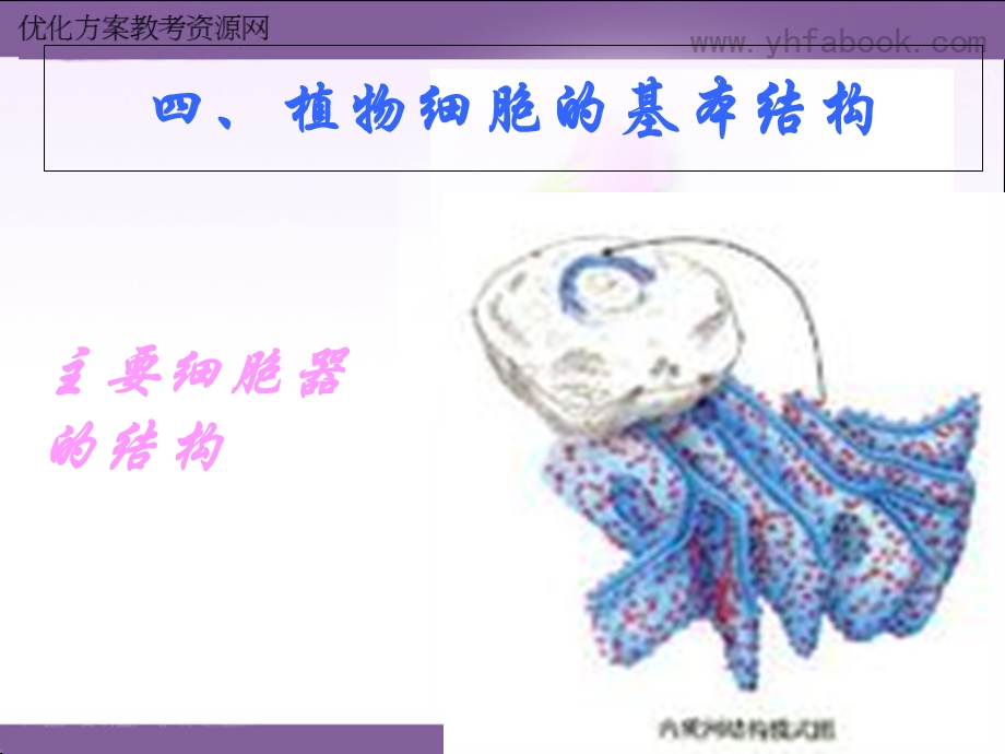 细胞器的结构与功能.ppt_第1页