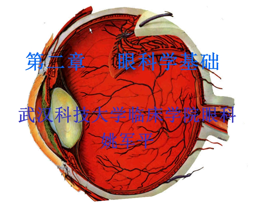 眼科学基础(本科).ppt_第1页