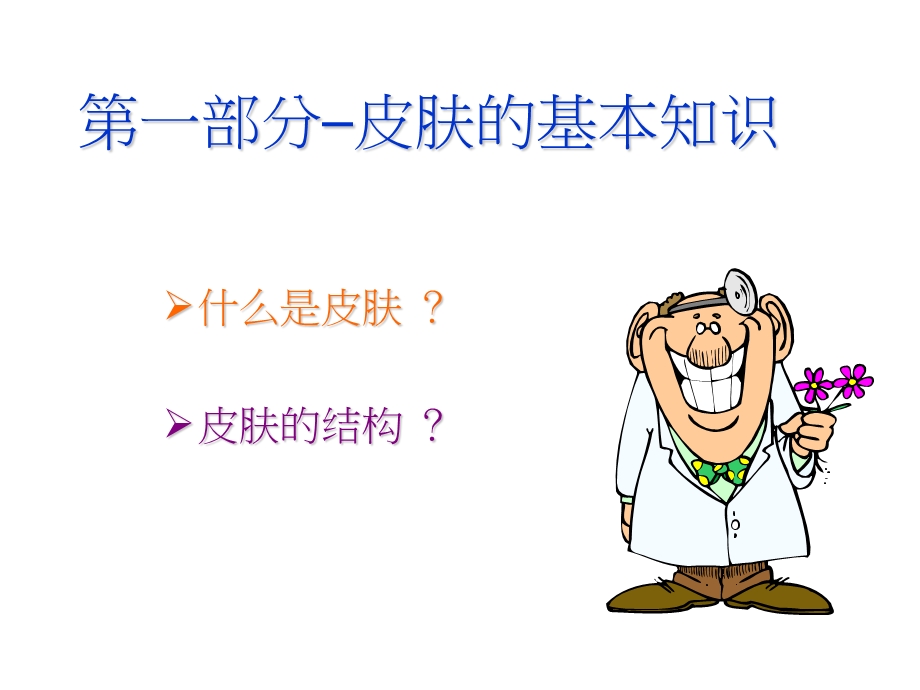 美容护肤基础知识.ppt_第3页