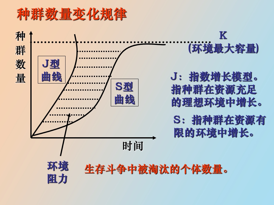 种群和生物群落复习.ppt_第3页