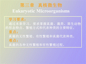 真核微生物简.ppt