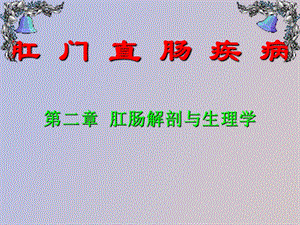 肛肠解剖与生理学.ppt