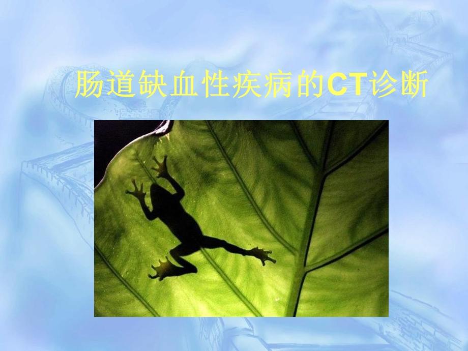 肠道缺血性疾病的CT诊断.ppt_第1页