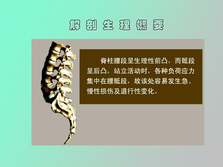 腰腿痛和颈肩痛.ppt_第3页